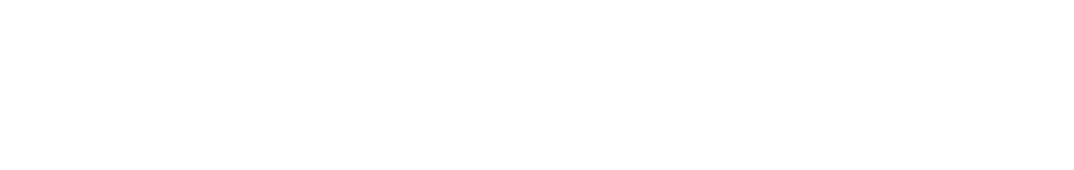 White Experience logo